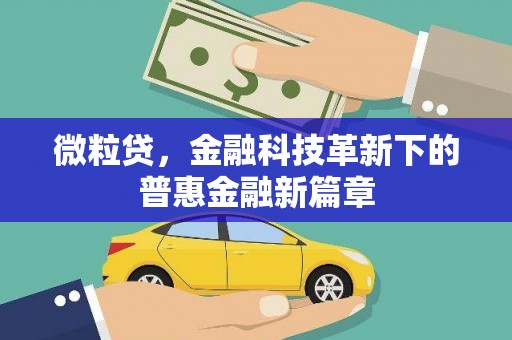 文成微粒贷，金融科技革新下的普惠金融新篇章