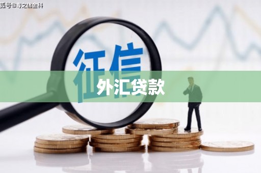 文成外汇贷款