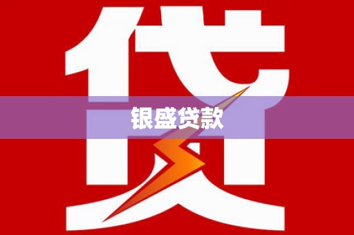 文成银盛贷款