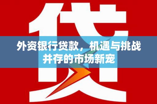 文成外资银行贷款，机遇与挑战并存的市场新宠