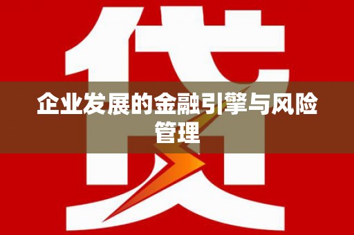 文成企业发展的金融引擎与风险管理