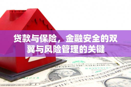 文成贷款与保险，金融安全的双翼与风险管理的关键