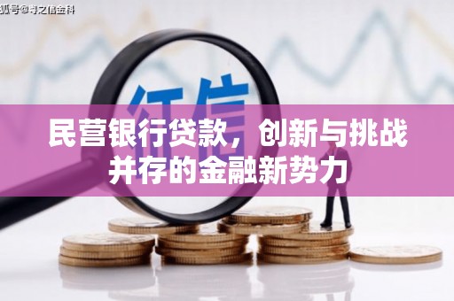 文成民营银行贷款，创新与挑战并存的金融新势力