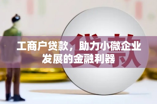 文成工商户贷款，助力小微企业发展的金融利器