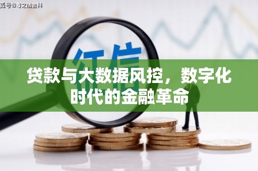 文成贷款与大数据风控，数字化时代的金融革命