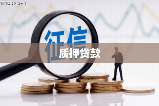 文成质押贷款