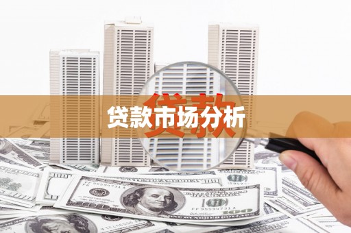文成贷款市场分析
