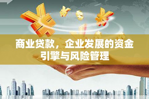 文成商业贷款，企业发展的资金引擎与风险管理