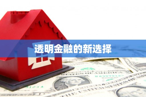 文成透明金融的新选择
