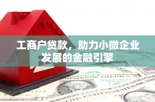 文成工商户贷款，助力小微企业发展的金融引擎