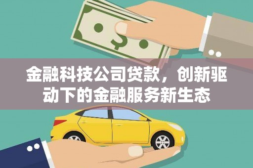 文成金融科技公司贷款，创新驱动下的金融服务新生态