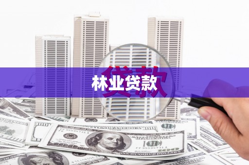 文成林业贷款
