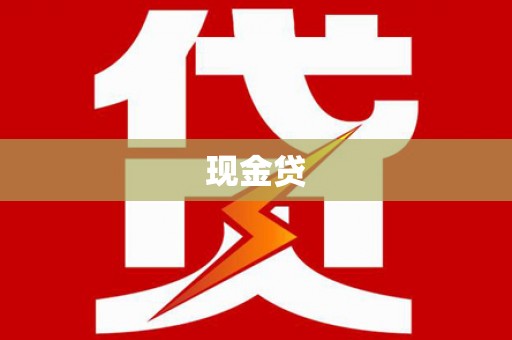 文成现金贷