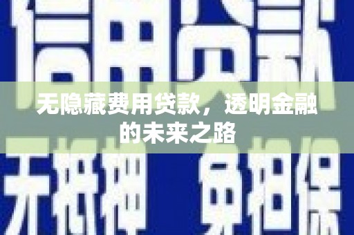 文成无隐藏费用贷款，透明金融的未来之路