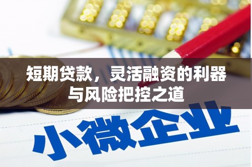 文成短期贷款，灵活融资的利器与风险把控之道