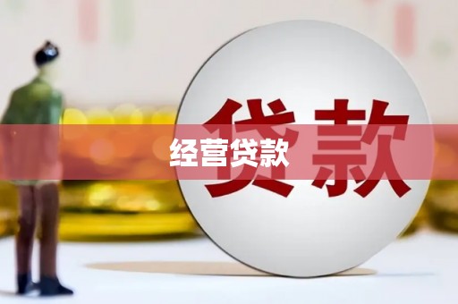 文成经营贷款