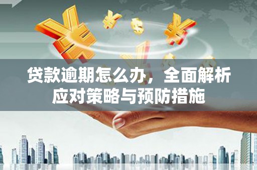 文成贷款逾期怎么办，全面解析应对策略与预防措施