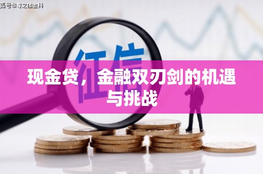 文成现金贷，金融双刃剑的机遇与挑战