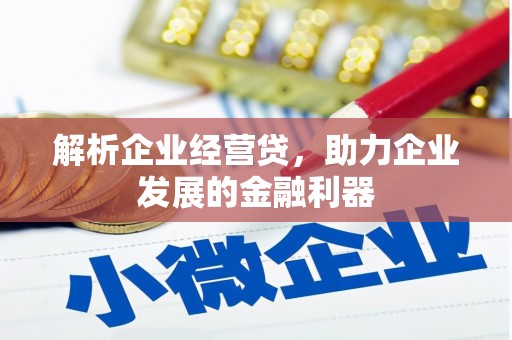 文成解析企业经营贷，助力企业发展的金融利器