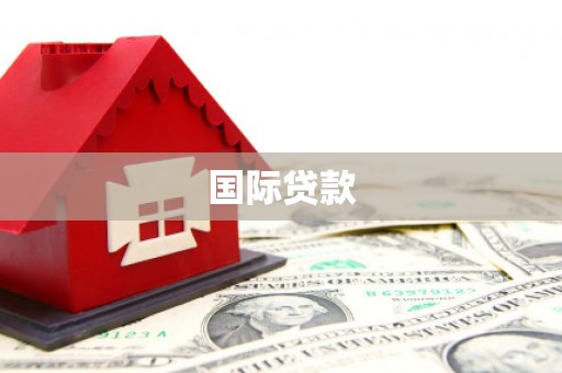 文成国际贷款