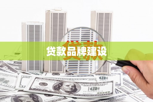 文成贷款品牌建设