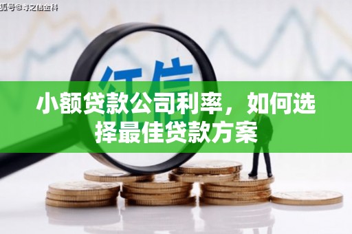 文成小额贷款公司利率，如何选择最佳贷款方案