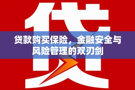 文成贷款购买保险，金融安全与风险管理的双刃剑