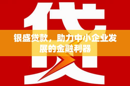 文成银盛贷款，助力中小企业发展的金融利器