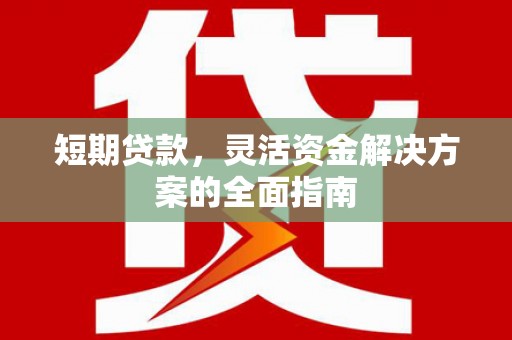 文成短期贷款，灵活资金解决方案的全面指南