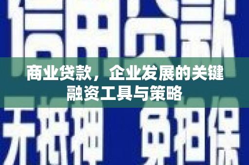 文成商业贷款，企业发展的关键融资工具与策略