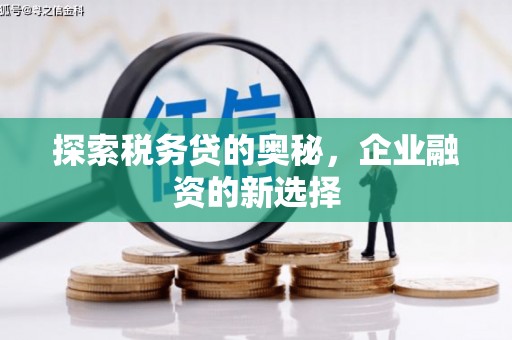 文成探索税务贷的奥秘，企业融资的新选择