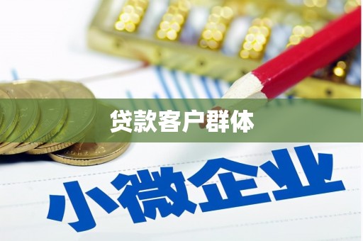 文成贷款客户群体