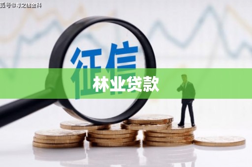 文成林业贷款