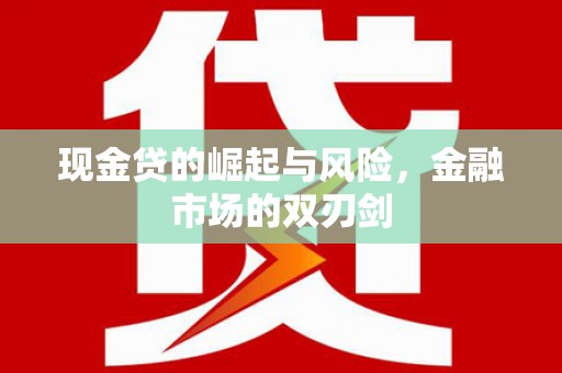 文成现金贷的崛起与风险，金融市场的双刃剑