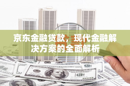 文成京东金融贷款，现代金融解决方案的全面解析