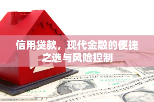 文成信用贷款，现代金融的便捷之选与风险控制