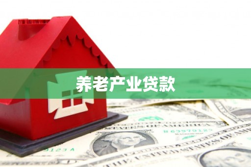 文成养老产业贷款
