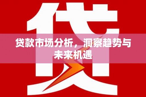 文成贷款市场分析，洞察趋势与未来机遇