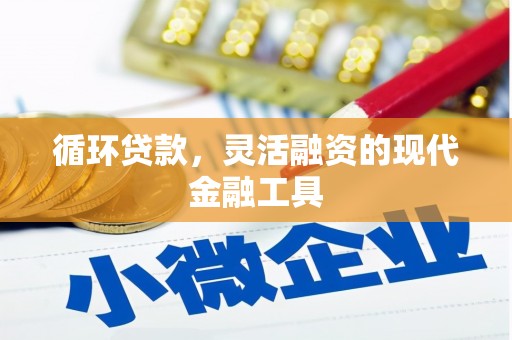文成循环贷款，灵活融资的现代金融工具