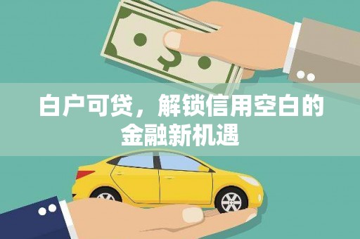 文成白户可贷，解锁信用空白的金融新机遇