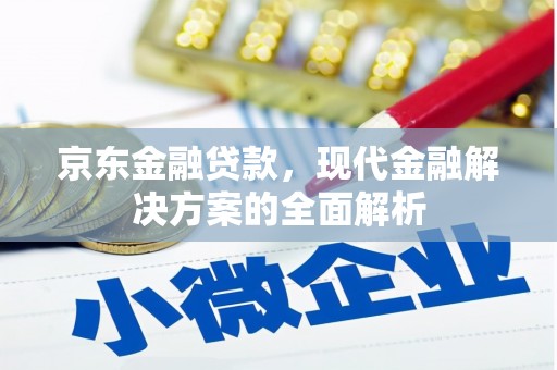 文成京东金融贷款，现代金融解决方案的全面解析