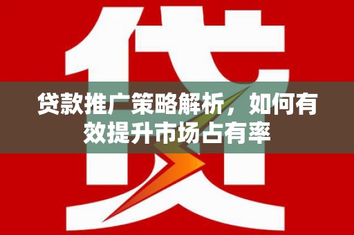 文成贷款推广策略解析，如何有效提升市场占有率