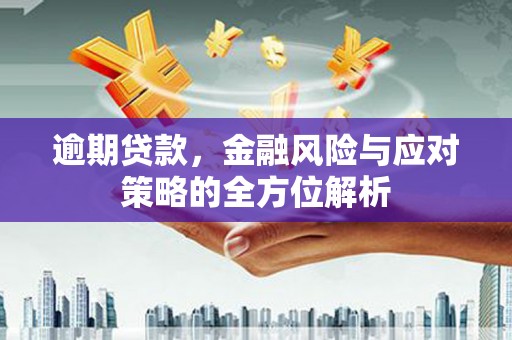 文成逾期贷款，金融风险与应对策略的全方位解析