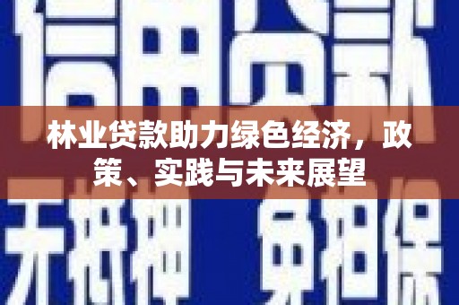 文成林业贷款助力绿色经济，政策、实践与未来展望
