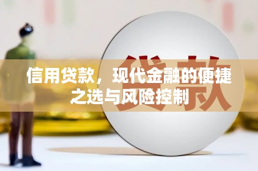 文成信用贷款，现代金融的便捷之选与风险控制