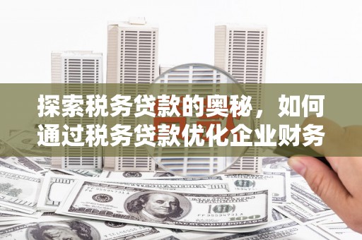 文成探索税务贷款的奥秘，如何通过税务贷款优化企业财务
