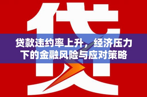 文成贷款违约率上升，经济压力下的金融风险与应对策略