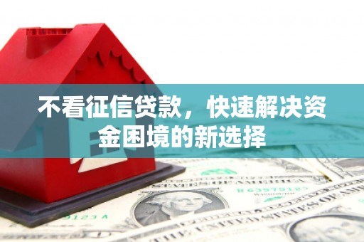 文成不看征信贷款，快速解决资金困境的新选择