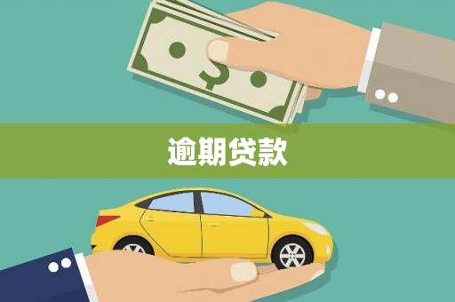 文成逾期贷款