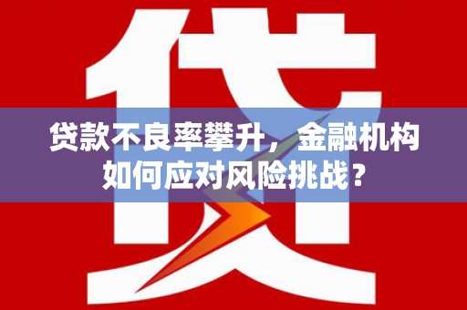 文成贷款不良率攀升，金融机构如何应对风险挑战？